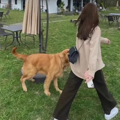 康纳斯的战争